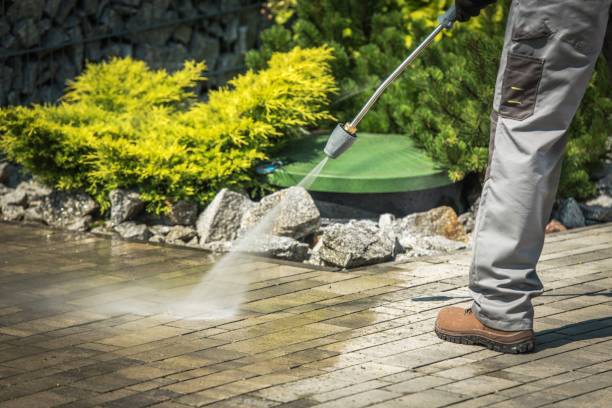 Animal Enclosure Cleaning